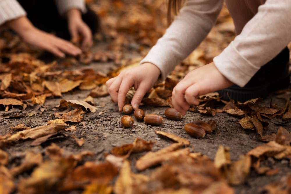 Outdoor Sensory Activities