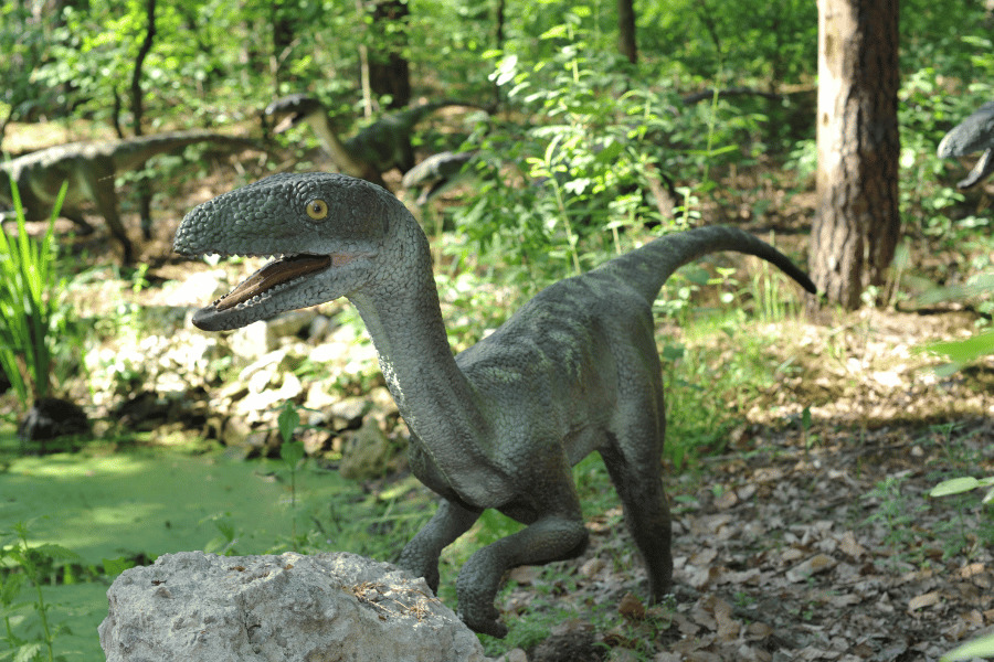 Velociraptor 