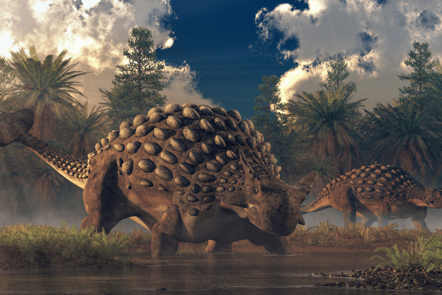 Ankylosaurus 