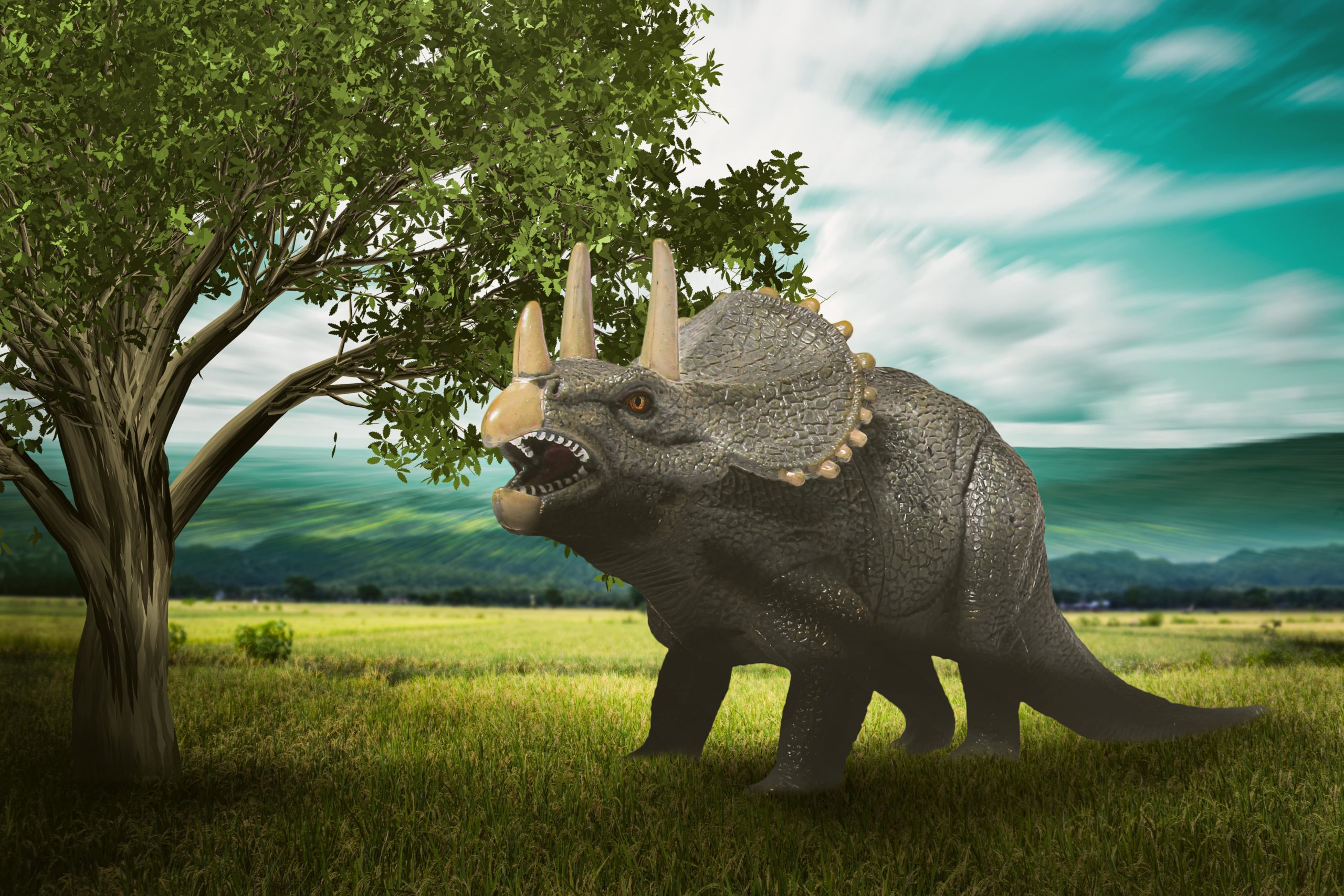 10 Fun Facts about Triceratops