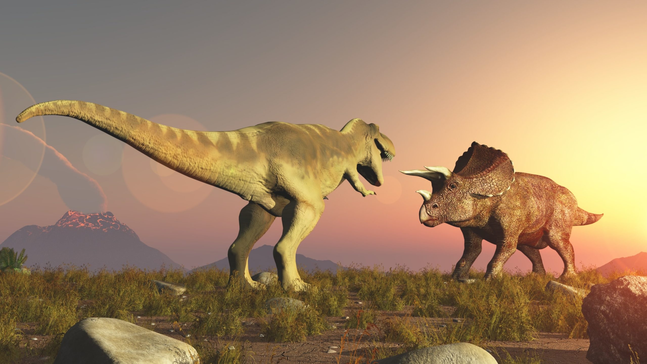 10 Fun Facts about Triceratops 