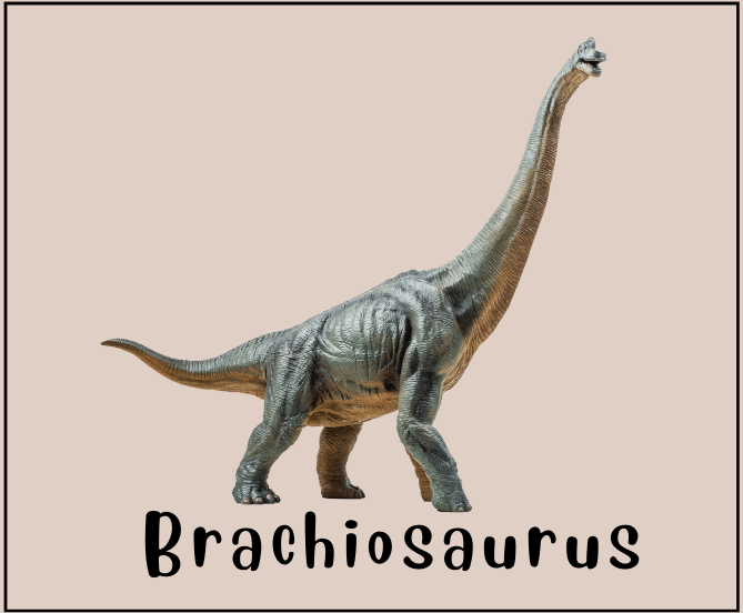 Brachiosaurus