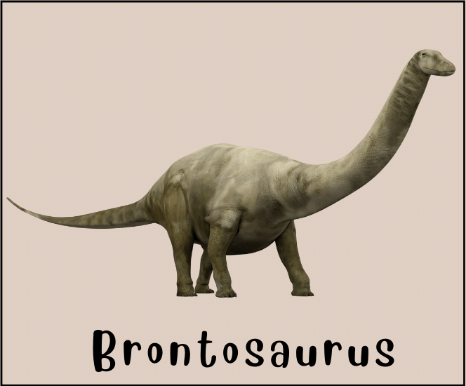 Brontosaurus