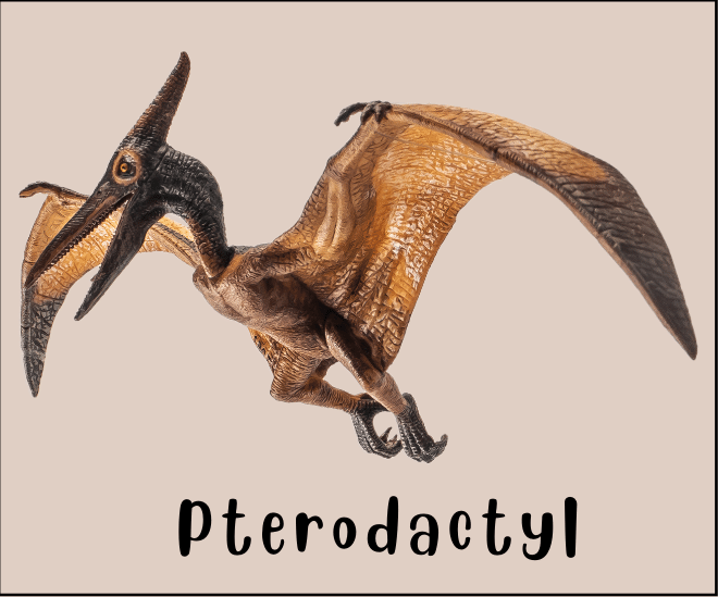 Pterodactyl