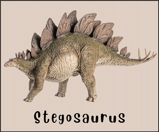 Stegosaurus