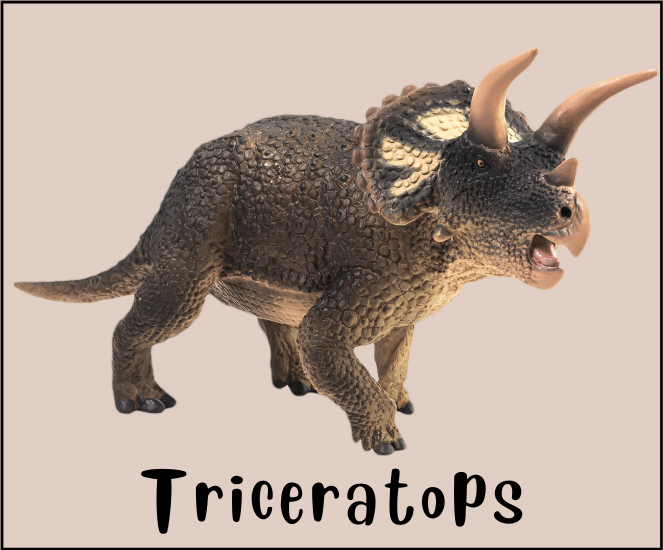 Triceratops