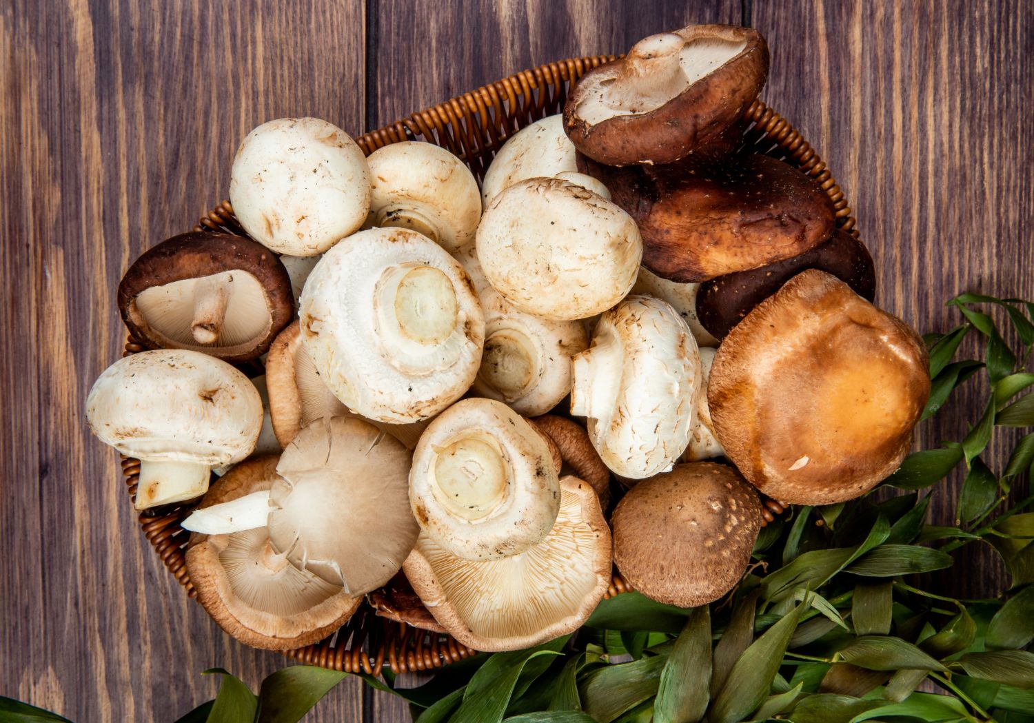 Mushrooms Nutrition Facts